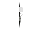GESP-2.webp
